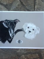 /album/galerie-photos/photo-1491-jpg/